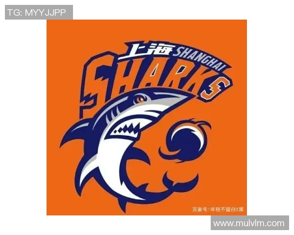 上海篮球队心理素质创新高引发关注助力球队未来发展与竞争力提升